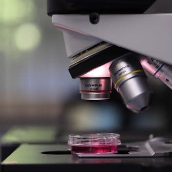 Cure a Disease (R&D fund)