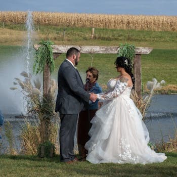 Wedding (average US)